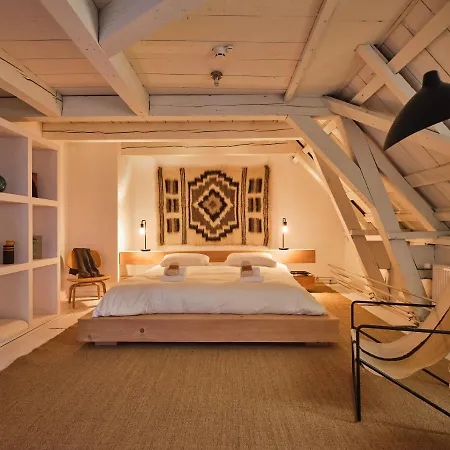 Eco Plantage Rococo فيلسين-زاود