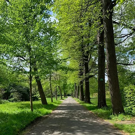 Eco Plantage Rococo فندق فيلسين-زاود