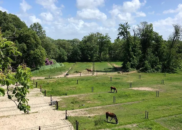 Eco Plantage Rococo Hotel Velsen-Zuid