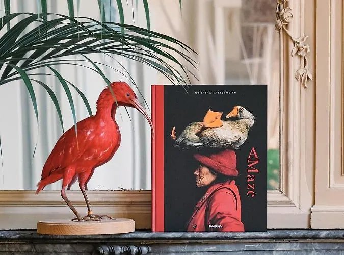 Eco Plantage Rococo Hotel 4*